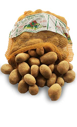 Kartoffel, 2,5 kg mittelgroße Kartoffeln, frische deutsche Speisekartoffeln, festkochend, Potato, neue Ernte 2020, typische Salzkartoffel, Kartoffelsalat, Bratkartoffeln, Sorte Belana oder Princess von Hof-Burmeister