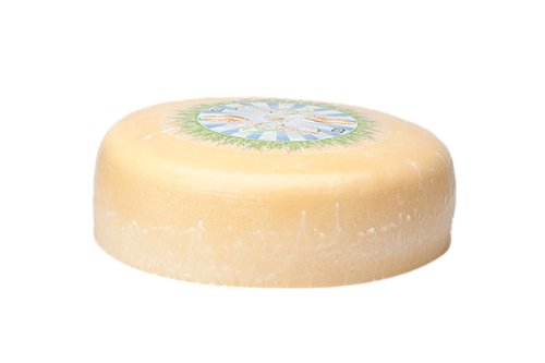 Biologischer jung gereifter Käse | Premium Qualität | Ganzer Käse - 7,5 kilo Biologischer jung gereifter Käse | Premium Qualität | Ganzer Käse - 7,5 kilo von Gouda Cheese Shop