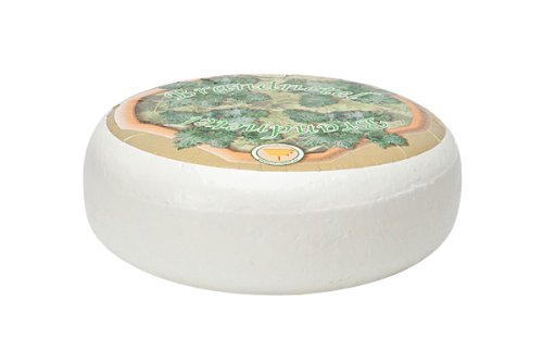 Ziegenkäse Gouda Brennessel | Premium Qualität | Ganzer Käse - 4,5 kilo von Gouda Cheese Shop
