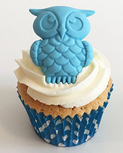 6 handgemachte Große baby blau Eulen aus Zucker / 6 Large Sugar Baby Blue Owls von Holly Cupcakes