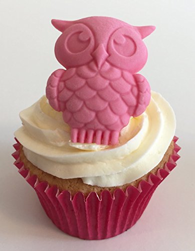 6 handgemachte Große baby pink Eulen aus Zucker / 6 Large Sugar Baby Pink Owls von Holly Cupcakes