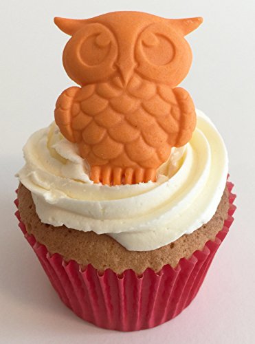 6 handgemachte Große orange Eulen aus Zucker / 6 Large Sugar Orange Owls von Holly Cupcakes