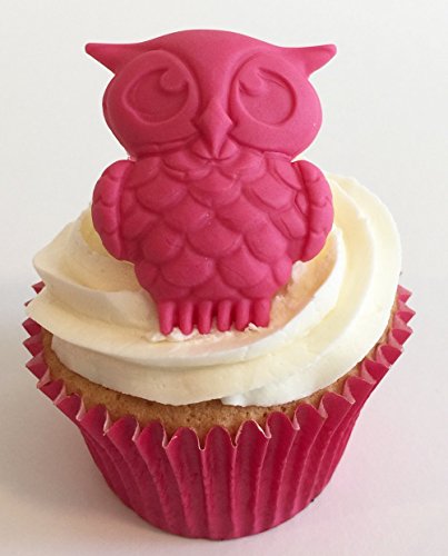 6 handgemachte Große pink Eulen aus Zucker / 6 Large Sugar Bright Pink Owls von Holly Cupcakes