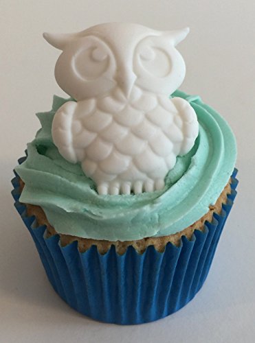 6 handgemachte Große weiße Eulen aus Zucker / 6 Large Sugar White Owls von Holly Cupcakes