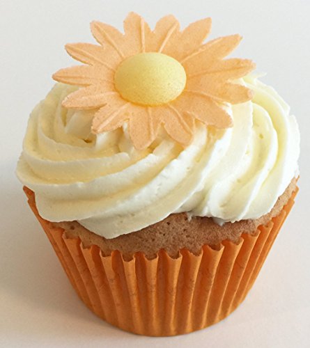Wunderschöne essbare Kuchendekorationen- 100 Orange Gänseblümchen / 100 Edible Orange Daisies von Holly Cupcakes