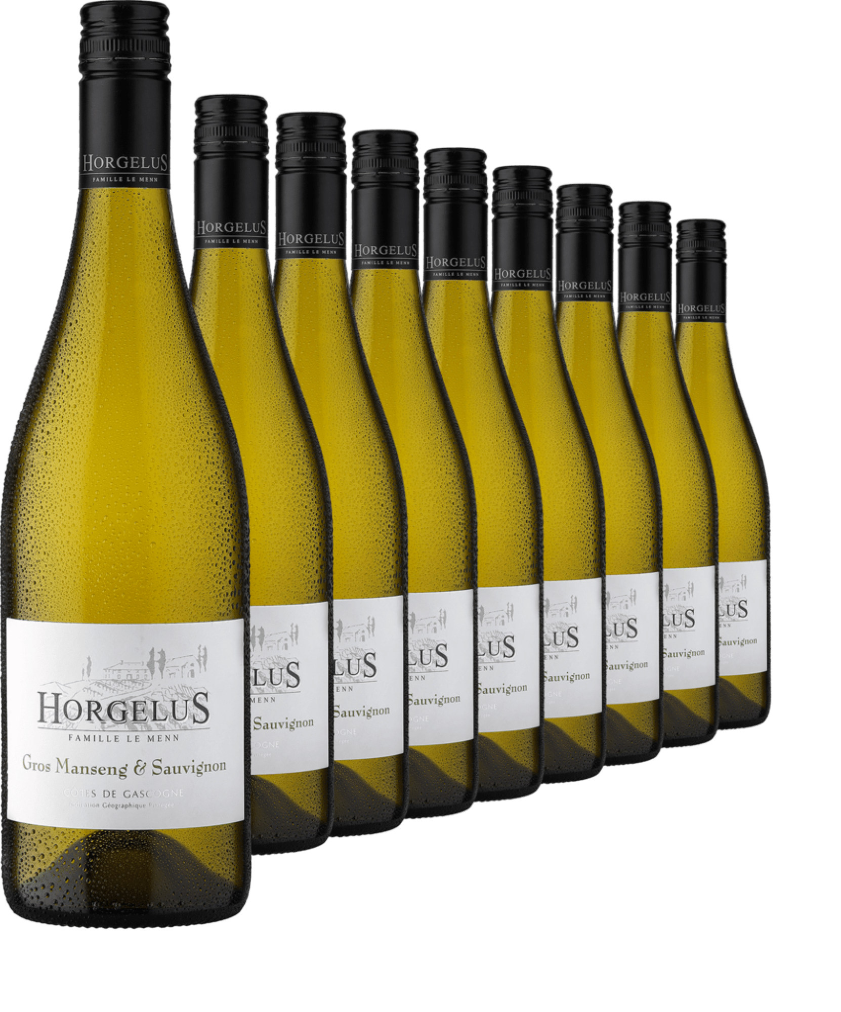 2024 Horgelus Gros Manseng & Sauvignon im 9er-Vorratspaket 2024 Horgelus Gros Manseng & Sauvignon im 9er-Vorratspaket