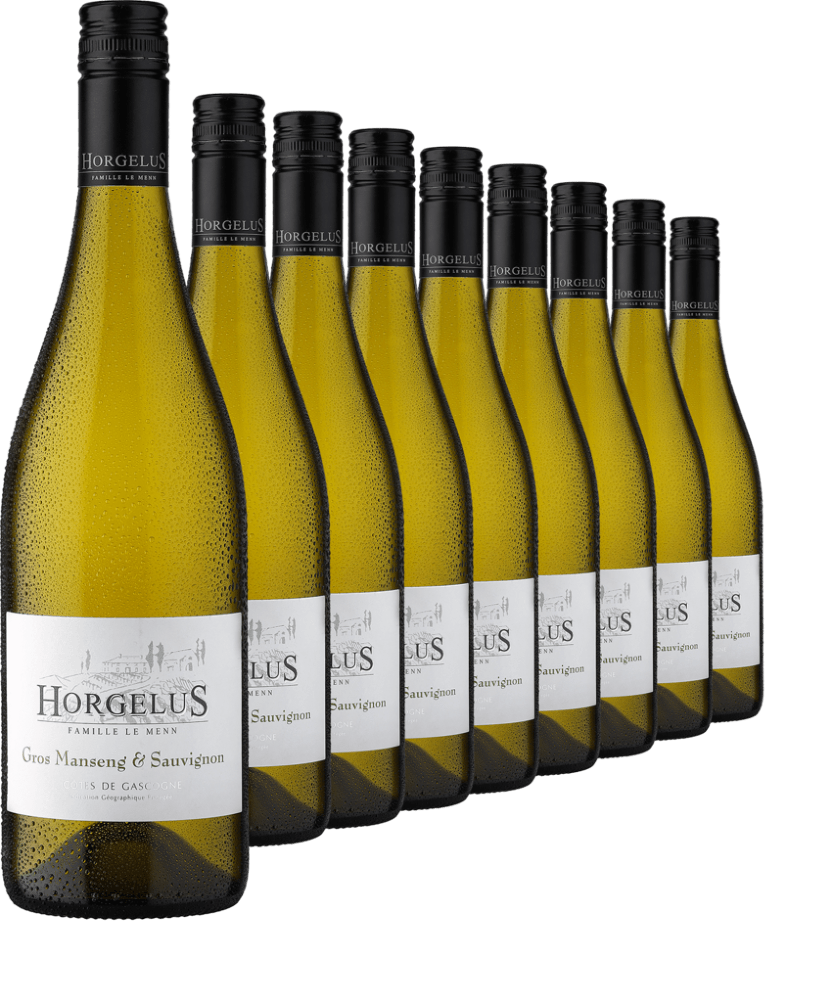 2023 Horgelus Gros Manseng & Sauvignon im 9er-Vorratspaket