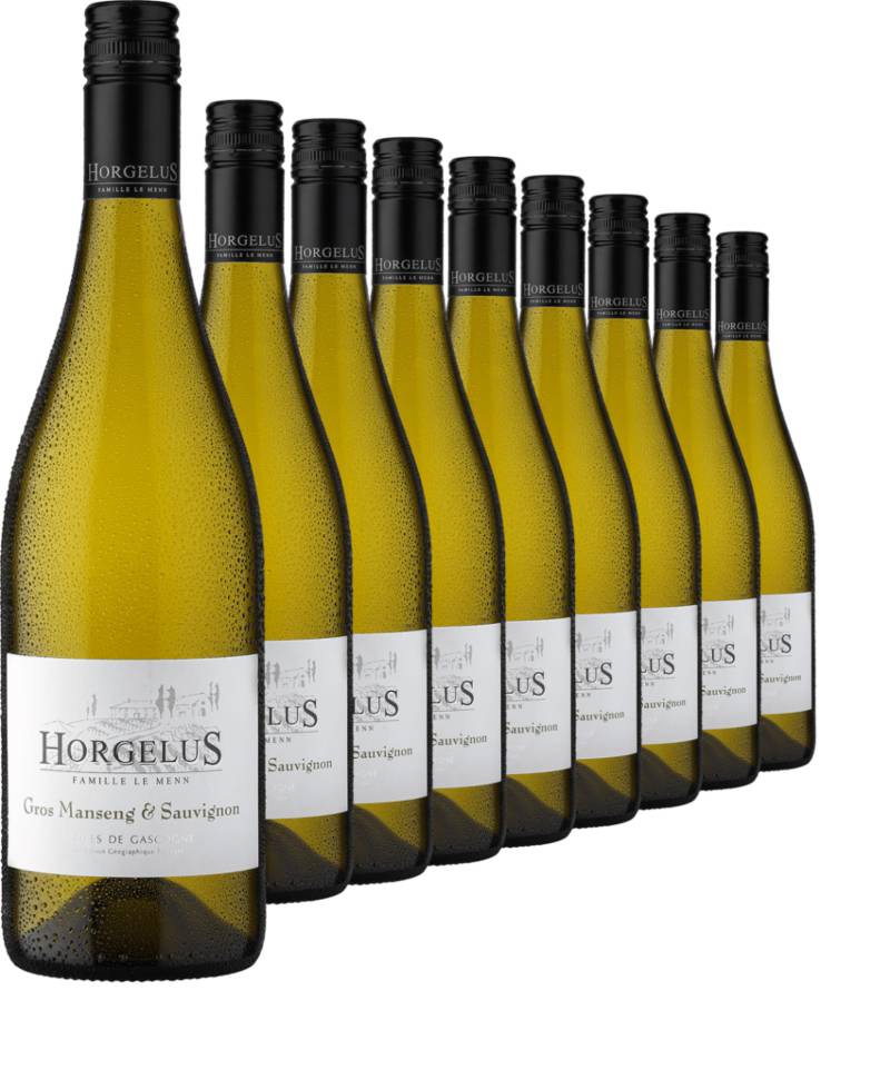 2023 Horgelus Gros Manseng & Sauvignon im 9er-Vorratspaket