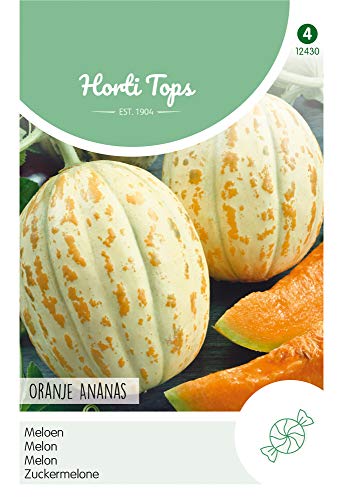 Hortitops 12430 Zuckermelone Orange (Zuckermelonensamen) von Hortitops