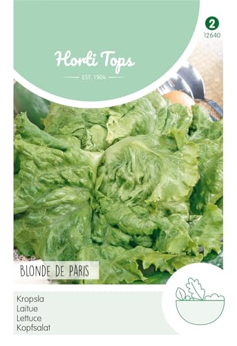 Hortitops 12640 Kopfsalat Batavia Blonde De Paris (Kopfsalatsamen) von Hortitops