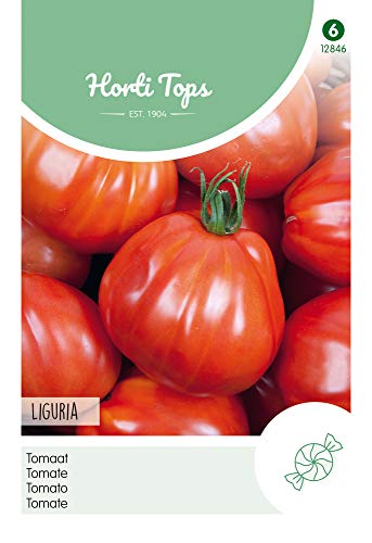 Hortitops 12846 Tomate Liguria (Tomatensamen) von Hortitops