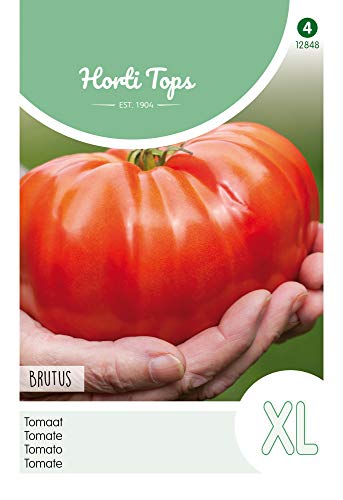 Hortitops 12848 Tomate Brutus (Tomatensamen) von Hortitops