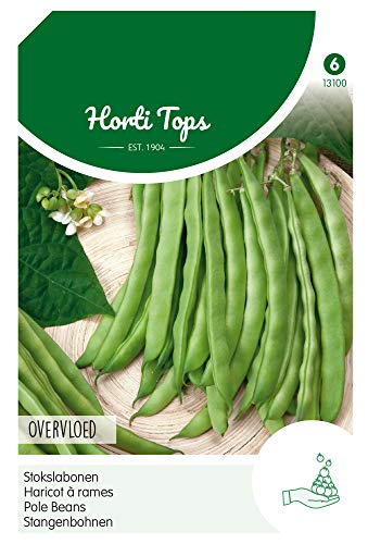 Hortitops 13100 Stangenbohnen (100 g) (Stangenbohnensamen) von Hortitops