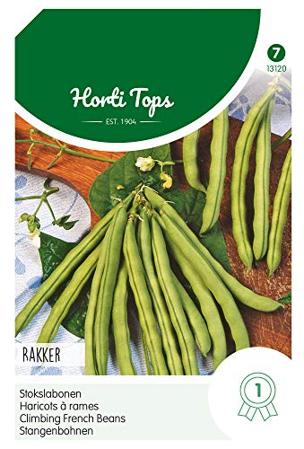 Hortitops 13120 Stangenbohnen Rakker (100 g) (Stangenbohnensamen) von Hortitops