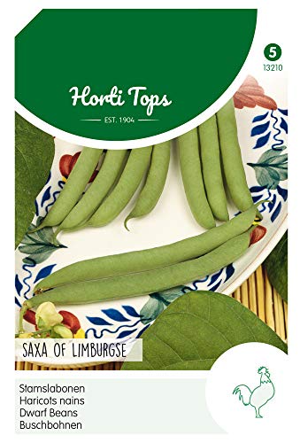 Hortitops 13210 Buschbohnen Saxa (100 g) (Buschbohnensamen) von Hortitops