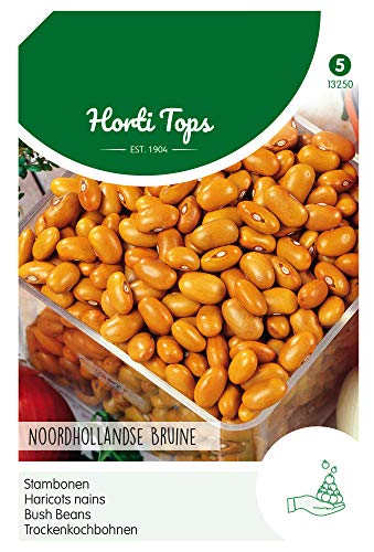 Hortitops 13250 Bushbohnen Frühe Braune Holländer (100 g) (Buschbohnensamen) von Hortitops