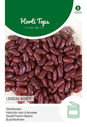 Hortitops 132535 Buschbohnen Canadian Wonder (15 g) (Buschbohnensamen) von Hortitops