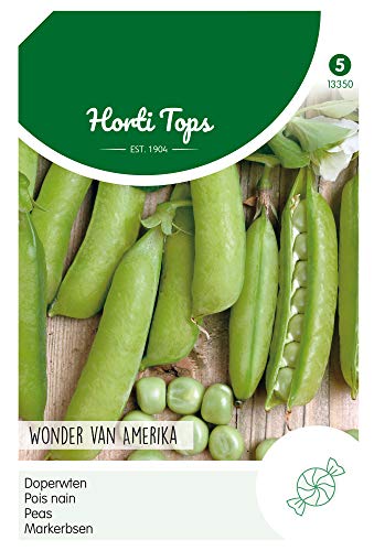 Hortitops 13350 Markerbsen Wunder Von Amerika (100 g) (Puffbohnensamen) von Hortitops