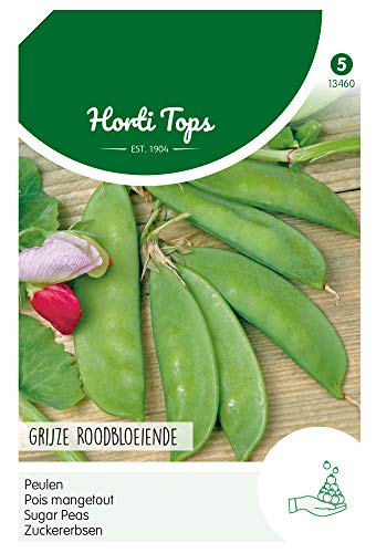 Hortitops 13460 Zuckererbsen Graue Buntbluehende (100 g) (Zuckererbsensamen) von Hortitops