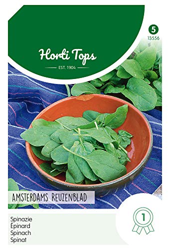 Hortitops 13556 Spinat Amsterdams Reuzenblad (100 g) (Spinatsamen) von Hortitops