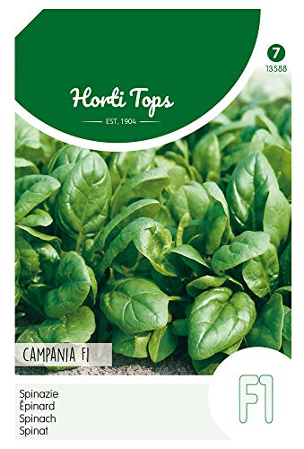 Hortitops 13588 Spinat Campania F1 (50 g) (Spinatsamen) von Hortitops