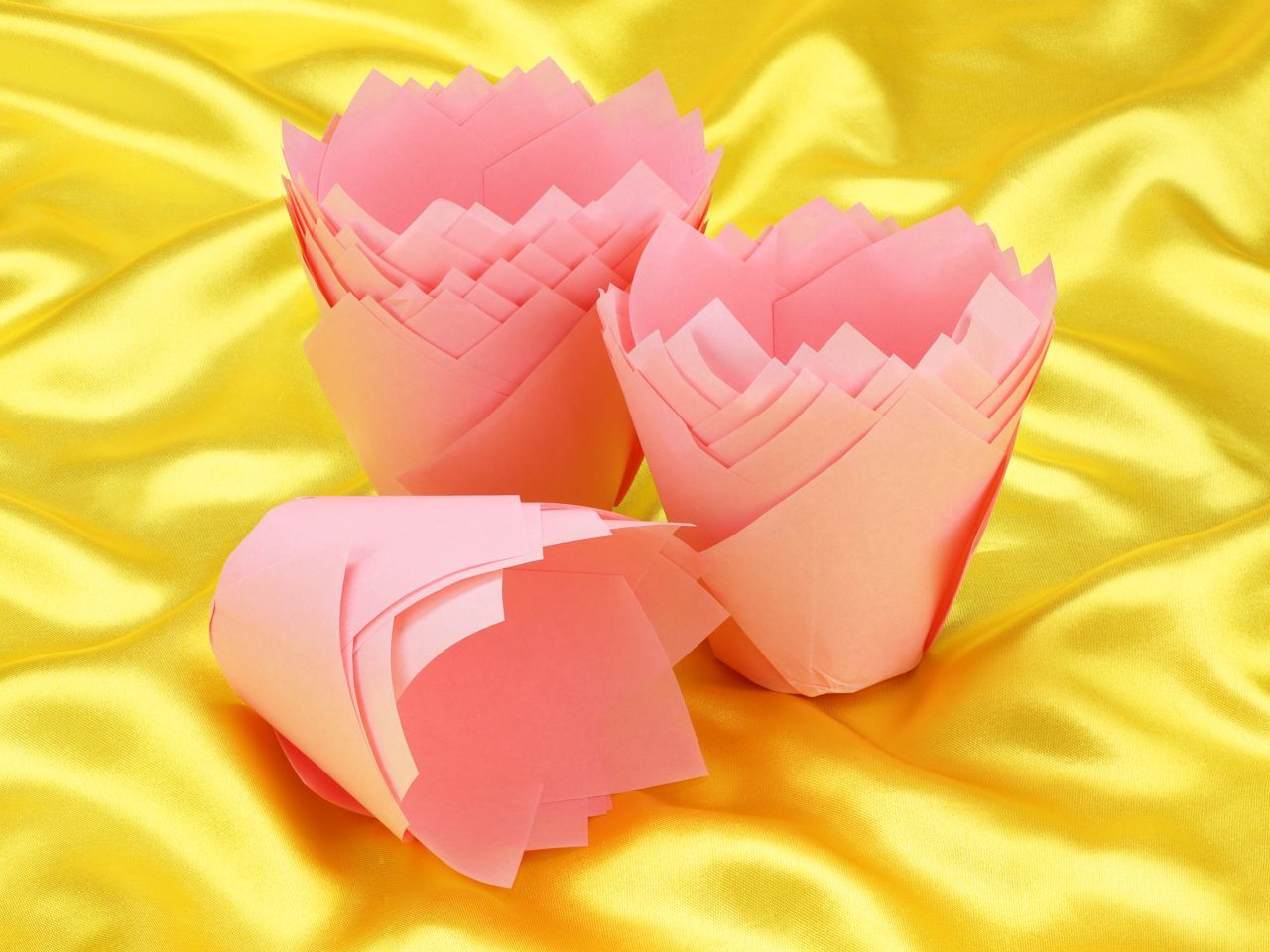 Muffin Tulips baby pink 36 Stück von House of Marie