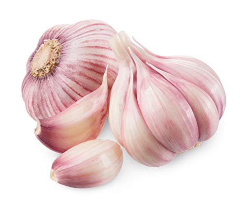 Hymor Violetter Knoblauch aus Las Pedroñeras Spanien - 16 Knollen - Lila Knoblauch Violet Garlic Ajo Morado Naturprodukt wertvolle Nährstoffe mediterran Kastilien-La Mancha von Hymor