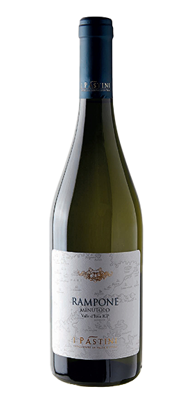 "Rampone" Minutolo Valle d'Itria IGP 2024 "Rampone" Minutolo Valle d'Itria IGP 2024 von I Pàstini