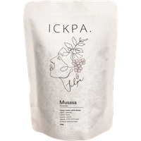 ICKPA Musasa Filter online kaufen | 60beans.com von ICKPA