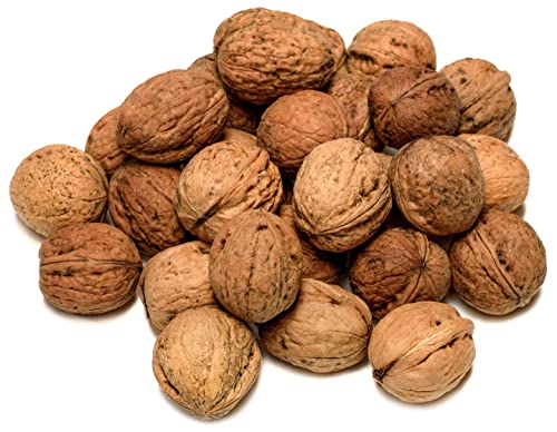 IGART Walnüsse mit Schale | Naturbelassen | OMEGA-3 | schmackhafte reif Walnüsse | Unbehandelt | Beste Qualität | Ernte 2024 | Leckerbissen | Supernuss | leckerer Happen (3kg) von IGART