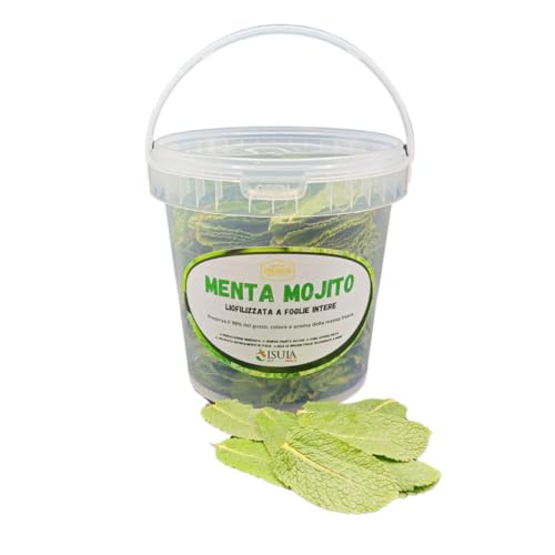 Gefriergetrocknete Mojito-Minze mit ganzblättrigen Blättern, gebrauchsfertig für Cocktails und innovative Gerichte, behält 98% des Geschmacks,der Farbe und des Aromas der frischen Minze. (Small 1L) von ISULA DI ANGELO CABIZZOSU