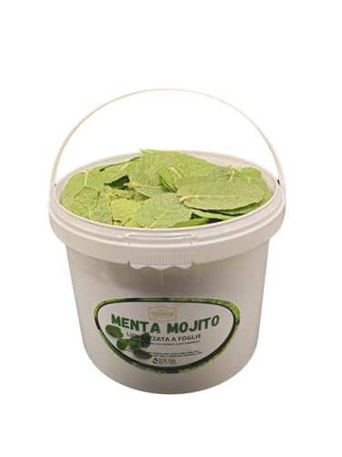 Gefriergetrocknete Mojito-Minze mit ganzblättrigen Blättern, gebrauchsfertig für Cocktails und innovative Gerichte, behält 98% des Geschmacks,der Farbe und des Aromas der frischen Minze. (Large 3L) von ISULA DI ANGELO CABIZZOSU