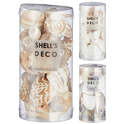 Iden Berlin Deko Muschel-Mix 100g Iden Berlin Deko Muschel-Mix 100g von Iden Berlin