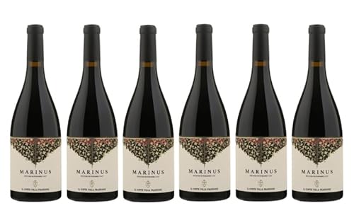 6x 0,75l - 2021er - Il Conte Villa Prandone - Marinus - Rosso Piceno Superiore D.O.P. - Marken - Italien - Rotwein trocken von Il Conte Villa Prandone