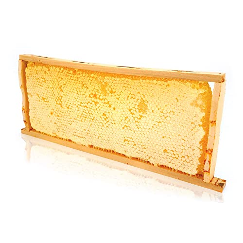ImkerPur® Honigwabe mit Akazien-Honig, Bio oder Konventionell, im traditionellen Holzrähmchen, wertet jedes Buffet auf, nicht nur im Restaurant oder Hotel (2,2 kg, Konventionell) von ImkerPur