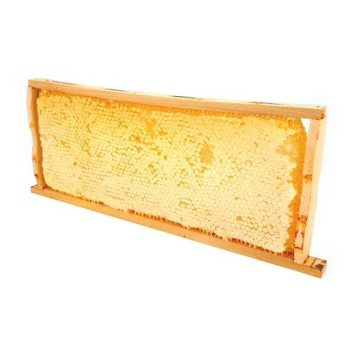 ImkerPur® Honigwabe mit Akazien-Honig, 3 kg, im traditionellen Holzrähmchen, wertet jedes Buffet auf, nicht nur im Restaurant oder Hotel (Konventionell) von ImkerPur