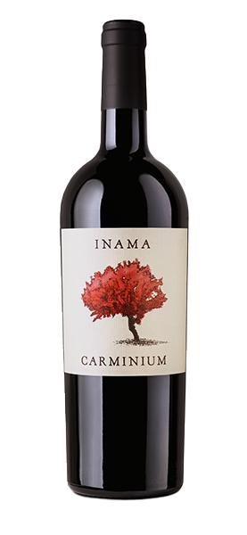 "Carminium" Carmenere Colli Berici DOC 2019 von Inama