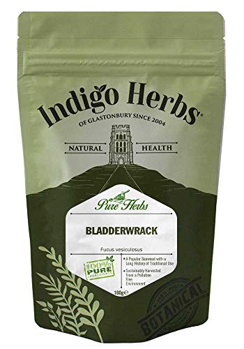 Indigo Herbs Blasentang 100g | Bladderwrack | Seetang von Indigo Herbs