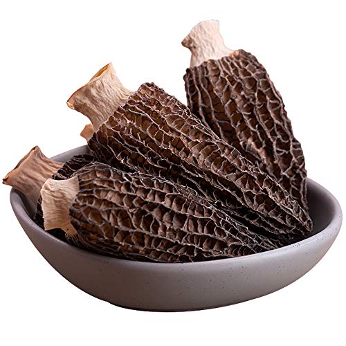 Infinitely Great Home Decor Center 50 g getrocknete Morella-Pilze Hymalaya Gourmet Wilde Morchella-Pilze Infinitely Great Home Decor Center 50 g getrocknete Morella-Pilze Hymalaya Gourmet Wilde Morchella-Pilze von Infinitely Great Home Decor Center