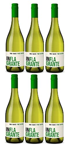 6 Flaschen Inflagrante Pinot Grigio Bianco wein a 0,75 L 11,5% vol. von Inflagrante
