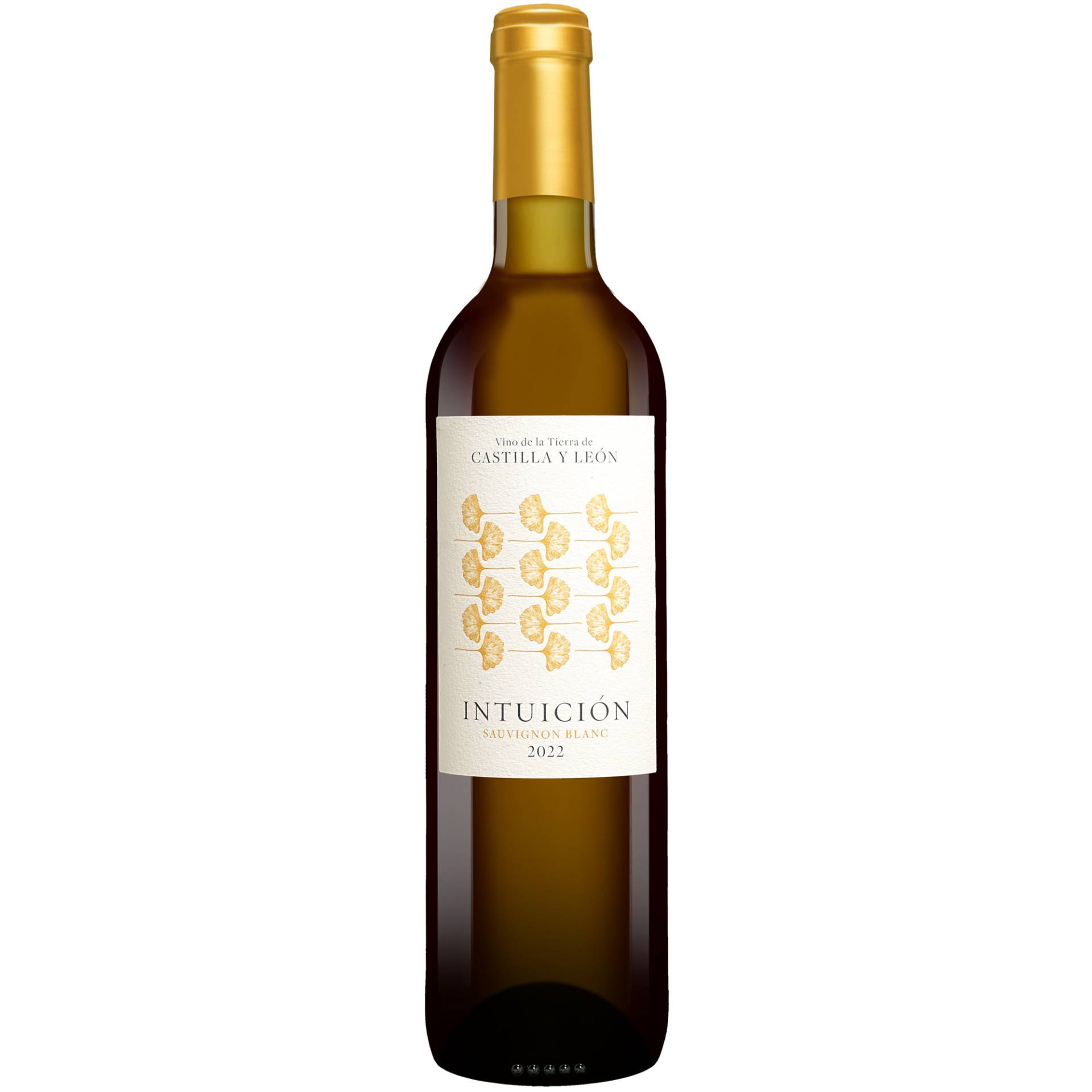 Intuición Sauvignon Blanc 2022  0.75L 13% Vol. Weißwein Trocken aus Spanien von Intuición