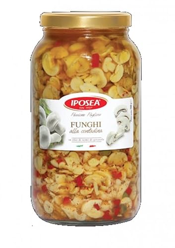 Zuchtpilz Iposea 3.100 kg von Iposea