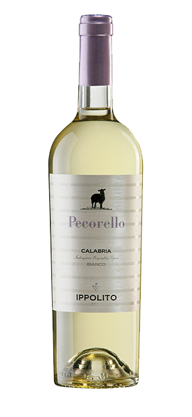 "Pecorello" Calabria IGT Bianco 2023 von Ippolito 1845