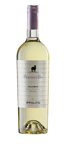 "Pecorello" Calabria IGT Bianco 2023 von Ippolito 1845