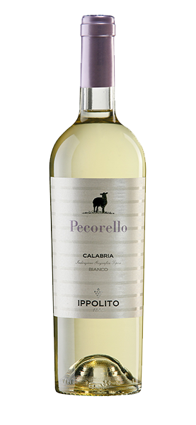 "Pecorello" Calabria IGT Bianco 2024 von Ippolito 1845