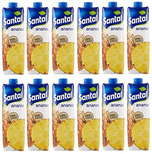 12x Parmalat Santal I Classici Succo di Frutta Ananas Fruchtsaft 100% Natürlichen Ursprungs Erfrischendes Erfrischungsgetränk Tetrapack 1000ml 12x Parmalat Santal I Classici Succo di Frutta Ananas Fruchtsaft 100% Natürlichen Ursprungs Erfrischendes Erfrischungsgetränk Tetrapack 1000ml von Italian Gourmet E.R.