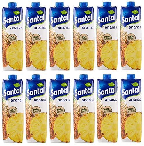 12x Parmalat Santal I Classici Succo di Frutta Ananas Fruchtsaft 100% Natürlichen Ursprungs Erfrischendes Erfrischungsgetränk Tetrapack 1000ml von Italian Gourmet E.R.