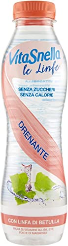 12x Vitasnella Le Linfe Betulla Wasser Drainage mit Birkensaft 500ml von Italian Gourmet E.R.