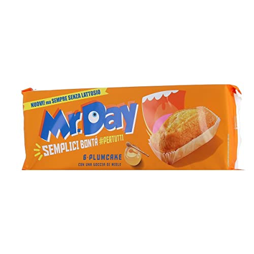 6x Mr. Day plumcake con yogurt magro mit Pflaumenkuchen mit Magerjoghurt kuchen sweet snack 190g von Italian Gourmet E.R.