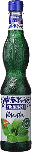 Fabbri Sciroppo Menta Minzsirup Sirup Piemontesische Minze Ideal für Cocktails und Getränke Alkoholfreie Getränke PET 560ml von Italian Gourmet E.R.